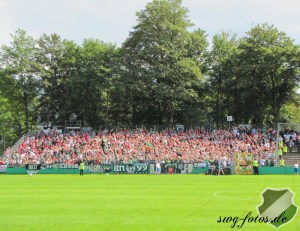 Zu Gast bei Vicky (nicht Leandros)